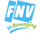 logo fnv2